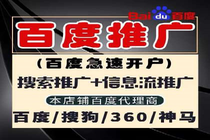 提升转化率：SEM竞价专员的案例研究